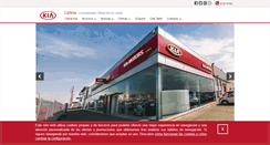 Desktop Screenshot of callesalleida.com